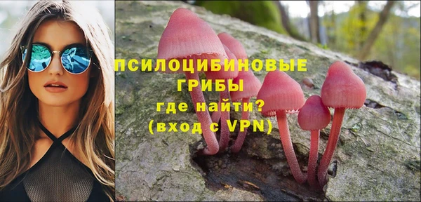 шишки Краснослободск