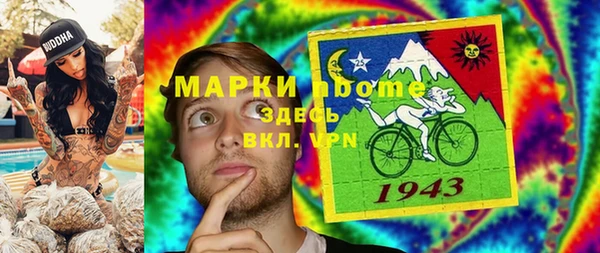шишки Краснослободск